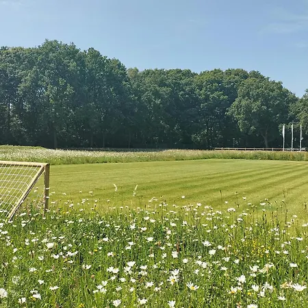 2 Bedroom Beautiful In בית נופש אפרדן